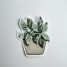Load image into Gallery viewer, Plant Sticker
